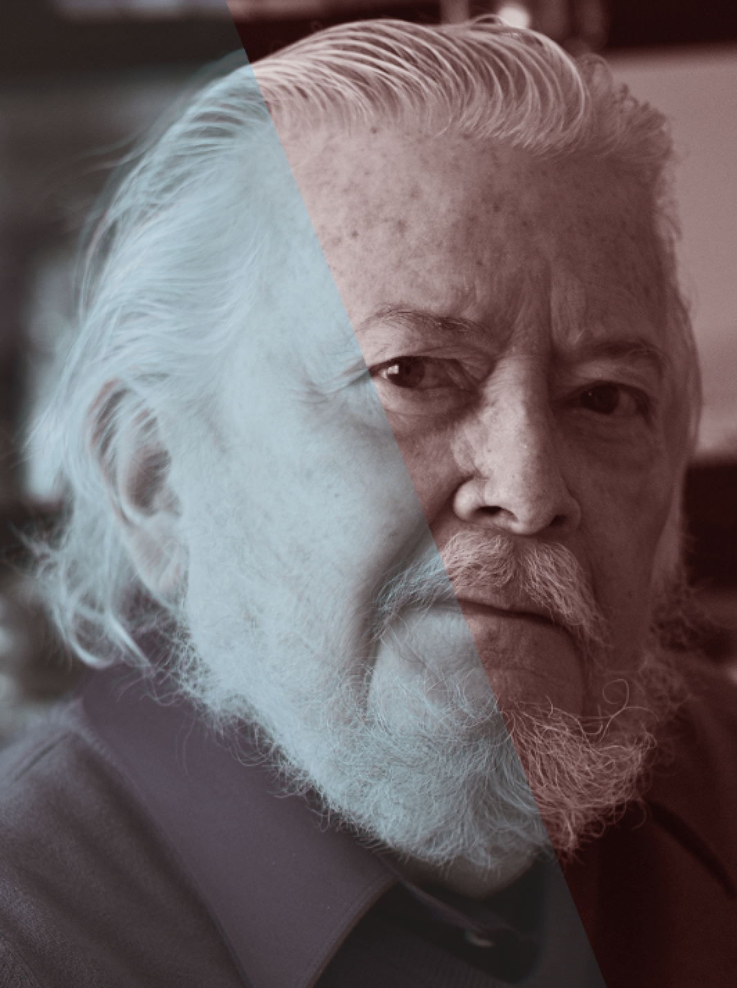 Poster Premio Cervantes